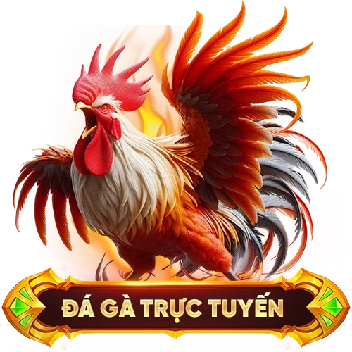đá gà trực tuyến VN138